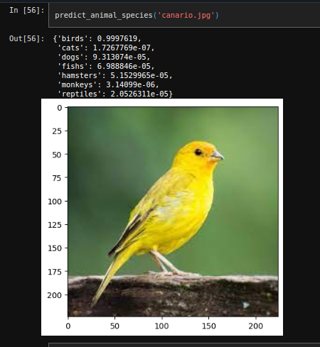 Bird Classification