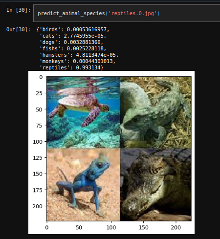 Reptile Classification